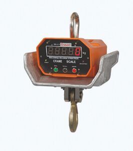 DS-315  Electronic Crane Scale