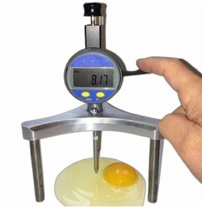 Egg Haugh Tester