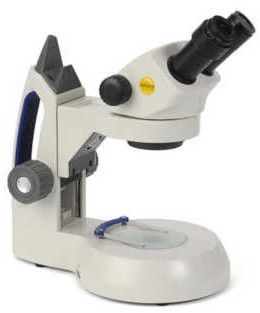 Dissecting Microscopes