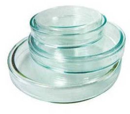 Petri Dishes