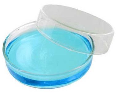 Petridish Glassware