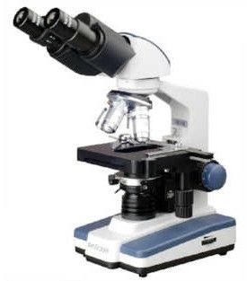 Stereo Microscopes