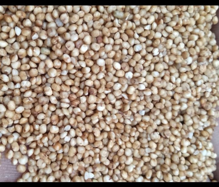 Unpolished Kodo Millet