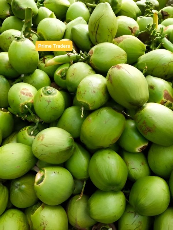 Assam Local Coconut