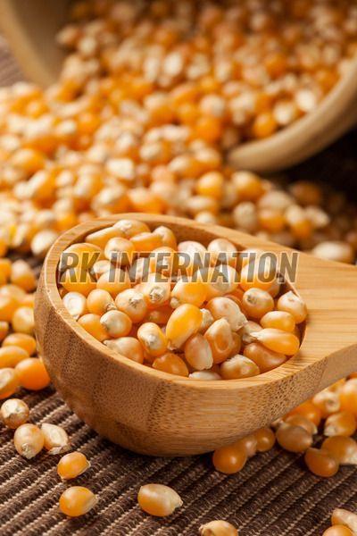 Yellow Maize Seeds