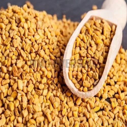 Dried Fenugreek Seeds, Color : Golden Yellow <= 10%