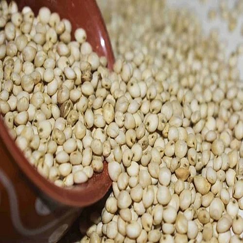Sorghum Millet Seeds, Packaging Type : Resealable Bag