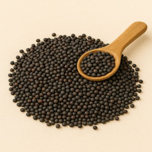 Organic Black Mustard Seeds, Packaging Size : 25Kg, 50Kg for Cooking