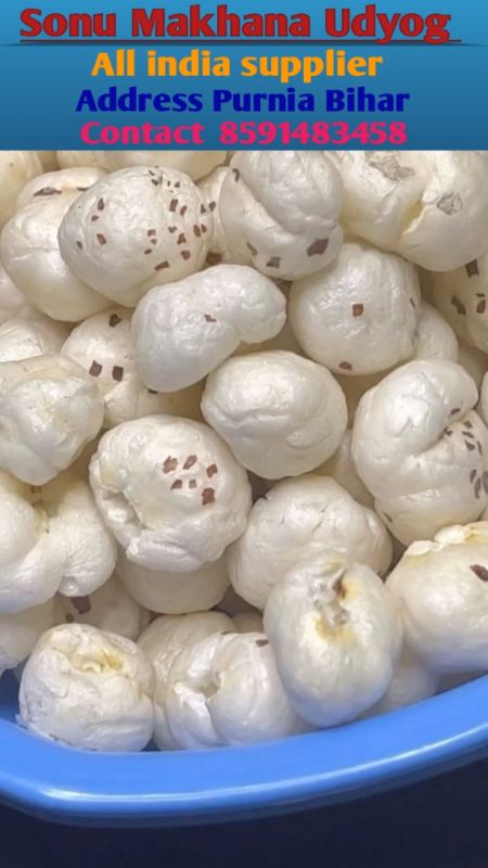 6 Plus Suta HP Makhana