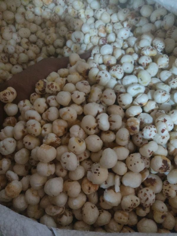 4 Suta Makhana Call 8591483458