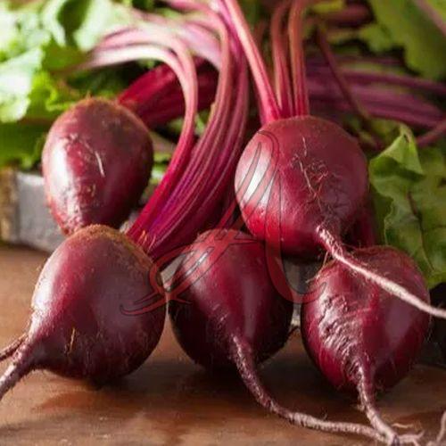 Fresh Beetroot, Color : Red