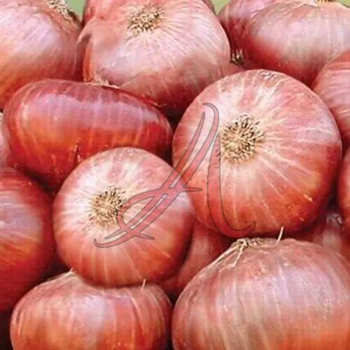 Fresh Pink Onion, Cultivation Type : Organic for Cooking
