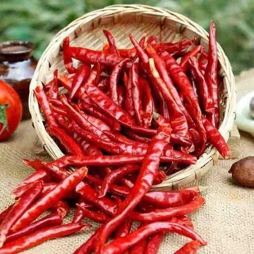 Guntur Dry Red Chilli, Variety : India, Packaging Type : Mesh Bags