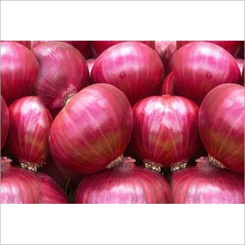 Red Onion, Packaging Size : 10Kg, 50Kg, 20 Kg, Form : Whole