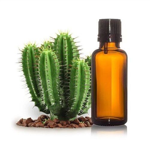 Cactus Seed Oil