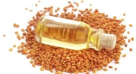 Fenugreek Oil