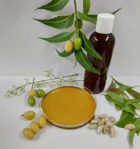 Neem Seed Oil, Extraction Type : Cold Process, Form : Liquid