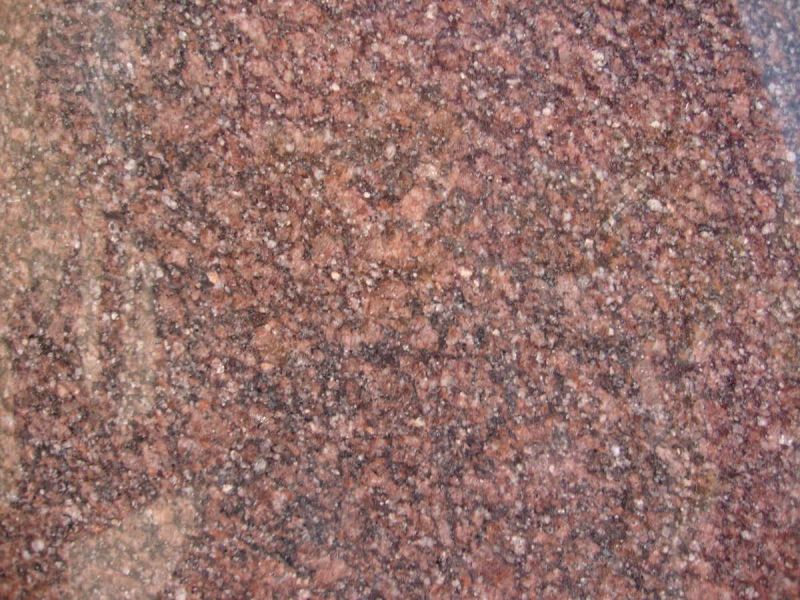 Forest Brown Granite