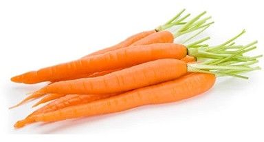 Fresh Carrots