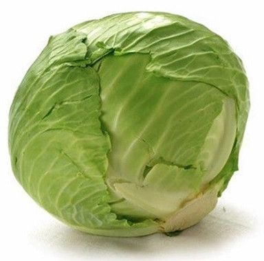 Fresh Green Cabbage