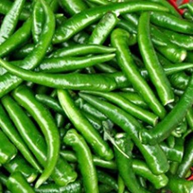 Fresh Green Chilli