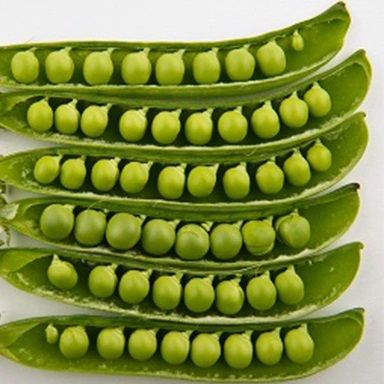 Fresh Peas