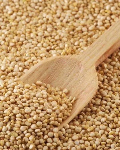 Amaranth Seed