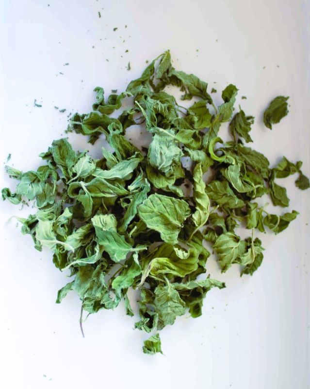 Dry Mint Leaves
