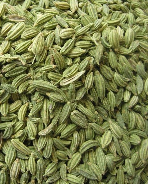 Fennel Seed