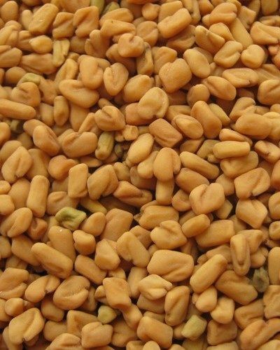 Fenugreek Seed, Purity : 98%, 99%, 99.50%, 99.90%