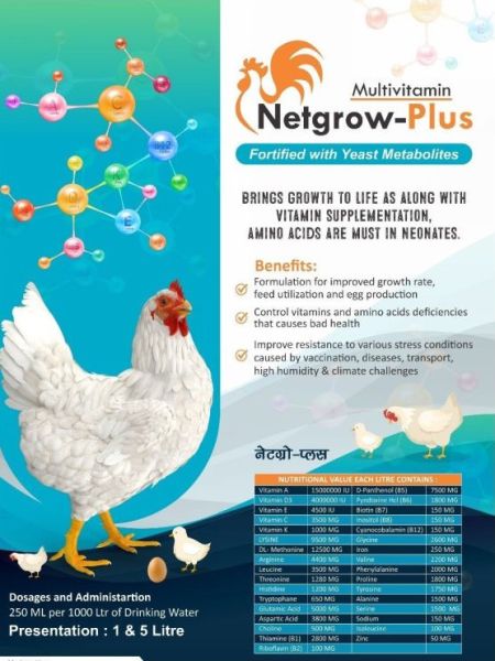 Poultry Growth Promoter Supplement
