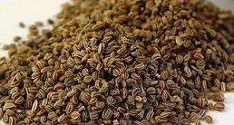 Celery Seeds