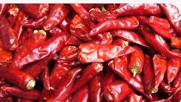 red chilli