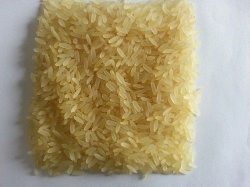 IR36 Rice