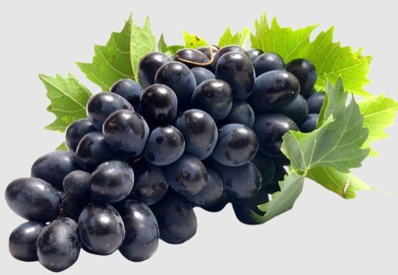 Fresh Grapes