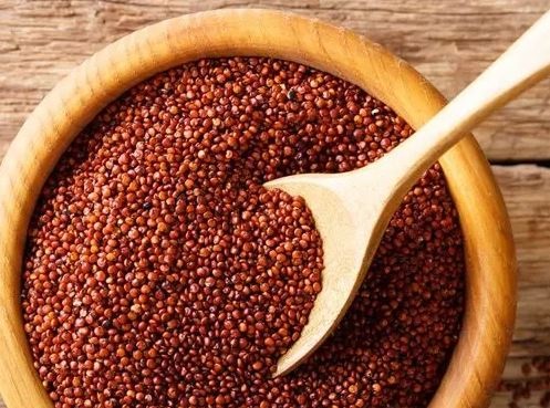 Peruvian Red Quinoa Seed