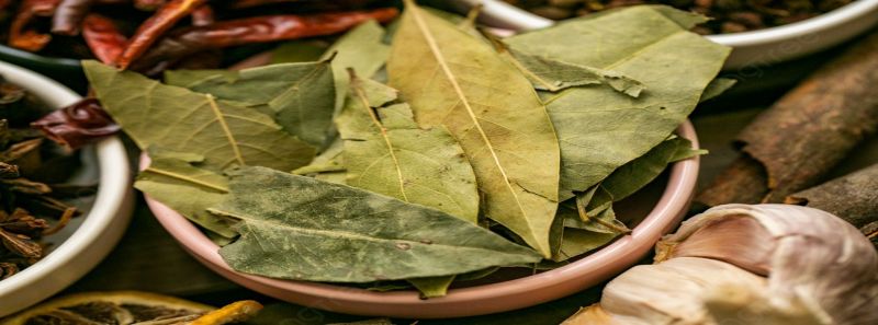 BAY LEAVES