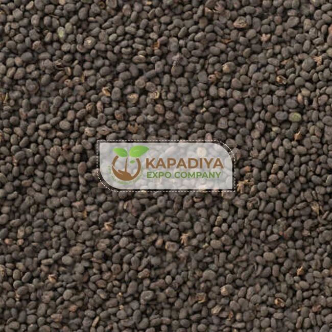 Babchi Seed