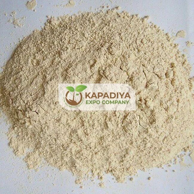 dehydrated garlic powder