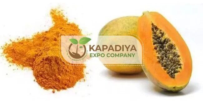 Spray Dried Papaya Powder