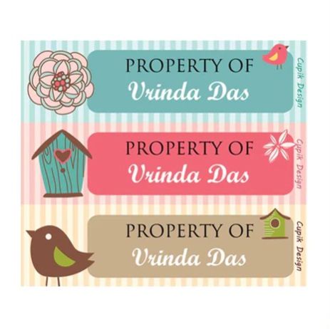 Lil Birdie Waterproof Stickers - Rectangular