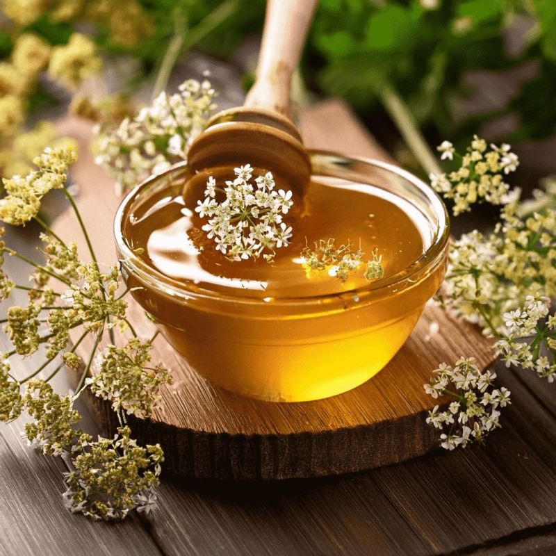 Coriander Flora Honey