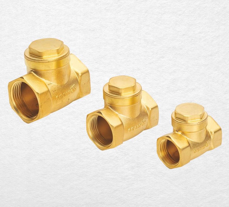 Brass Non Return Valve (NRV)