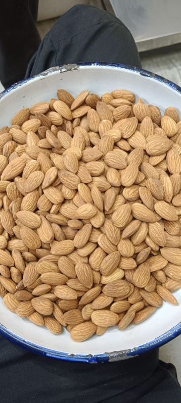 Almond Nuts