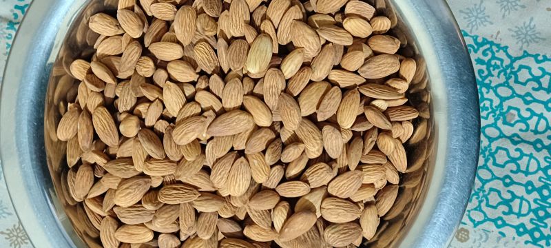 Almond Nuts