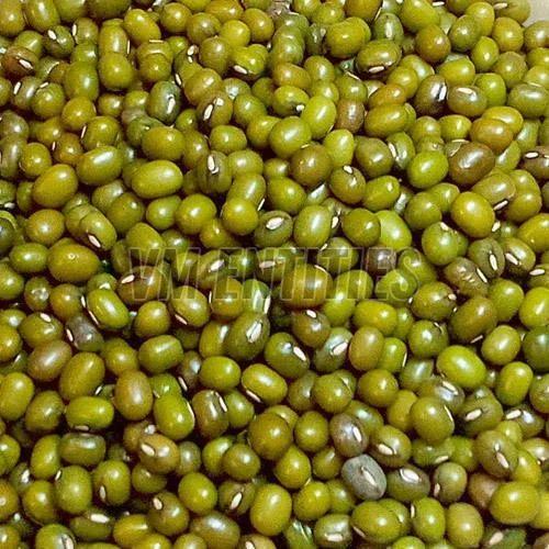 Green Moong Dal