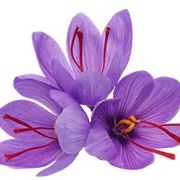 Premium Kashmiri Saffron