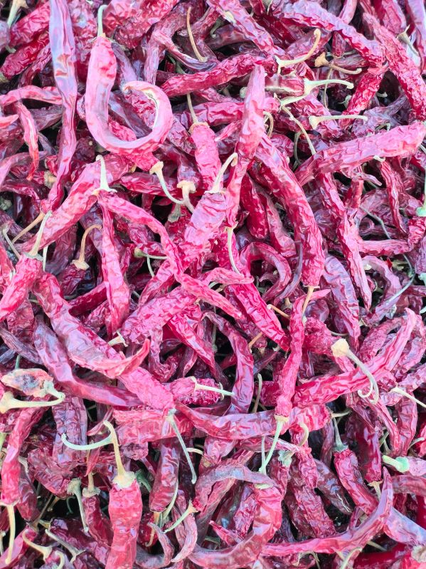 Organic Red Chili