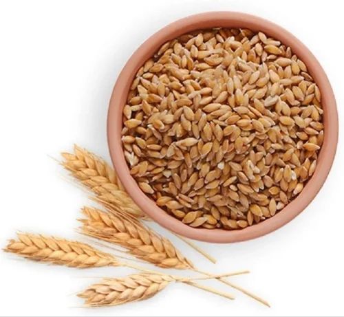 Brown Wheat Grain