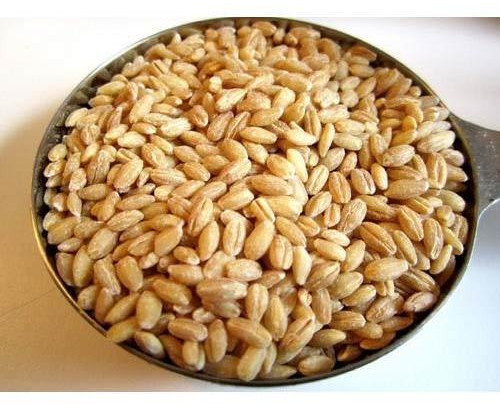 Natural Wheat Grain